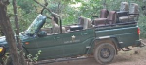 Jeeps canters and elephants are three modes of transport within the BTR